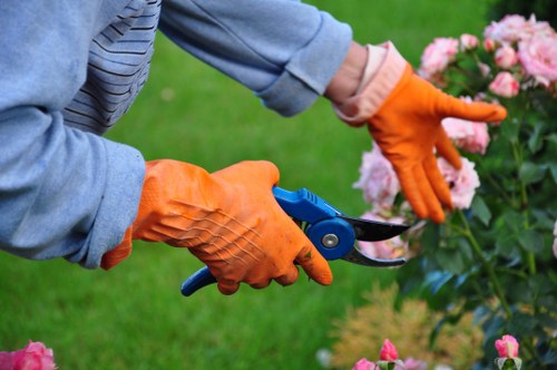 Man and van removing green waste from a suburban garden