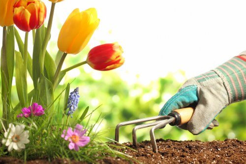A close-up view of a gardening scene in a front or back garden with a gardener wearing a grey glove, holding a small hand rake while tending to the soil. To the left, there are vibrant tulips in shades of yellow and red, alongside a variety of smaller flowering plants with purple, white, and pink blossoms. The soil appears rich and dark, with a neatly maintained flower bed bordered by lush green grass and foliage. The background features a bright, sunny day with a softly blurred natural environment, highlighting the outdoor setting in Mill Hill, and reflecting typical gardening activities carried out by Gardening Services Mill Hill to maintain landscaped outdoor spaces.